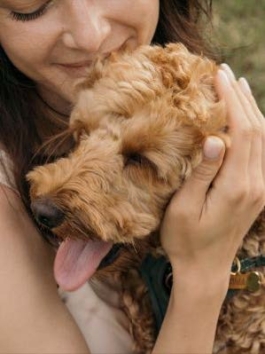 CBD-Öl für Hunde 